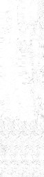 WP_A_0102_m_l.jpg