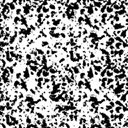 WP_A_0233_1m_l.jpg
