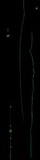 WP_A_0271_em_l.jpg