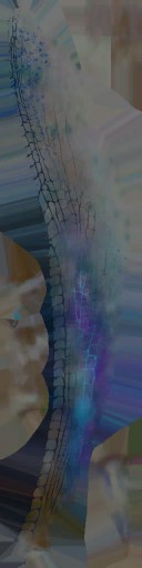 WP_A_0419_a_l.jpg