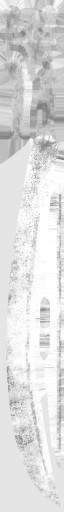 WP_A_0425_m_l.jpg