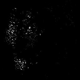 WP_A_0503_m_l.jpg
