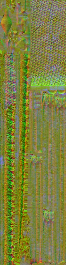 WP_A_0557_n_l.jpg