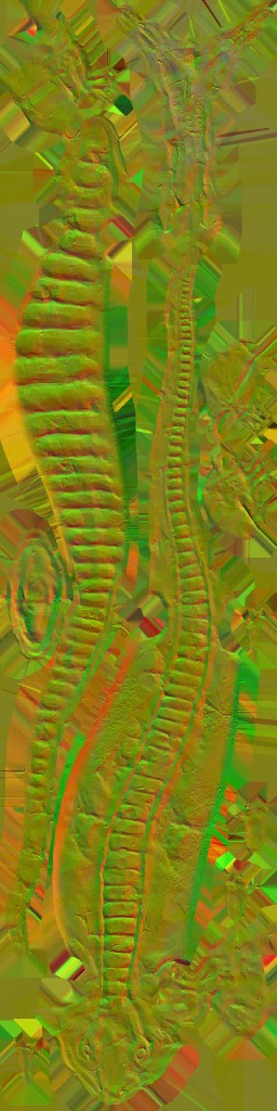 WP_A_0636_n_l.jpg
