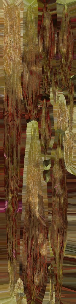 WP_A_0637_a_l.jpg