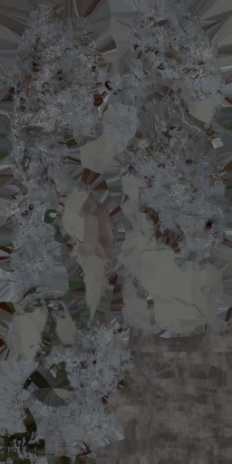 WP_A_0820_a_l.jpg
