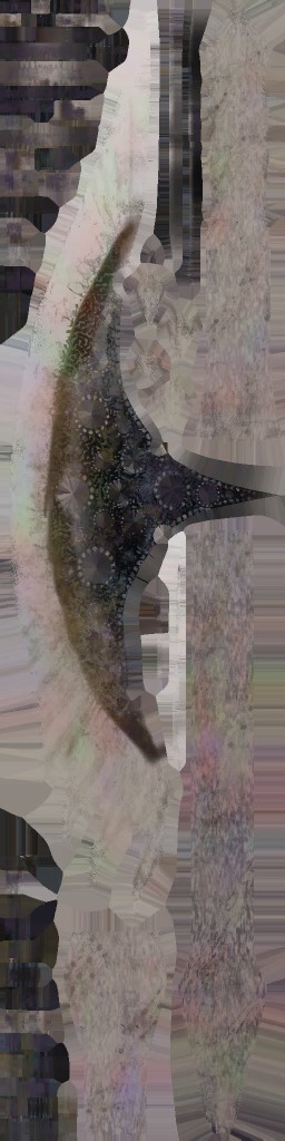 WP_A_0911_a_l.jpg