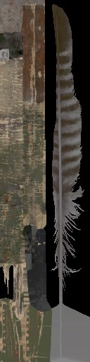WP_A_1405_a_l.jpg
