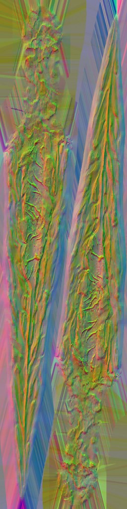 WP_A_1550_n_l.jpg