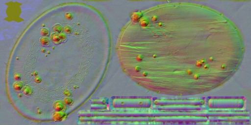 WP_A_2101_n_l.jpg