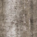 WP_A_2206_bark_a_l.jpg