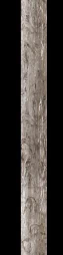 WP_A_2206_barkch_a_l.jpg