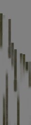WP_A_2206_branch_Color_a_l.jpg