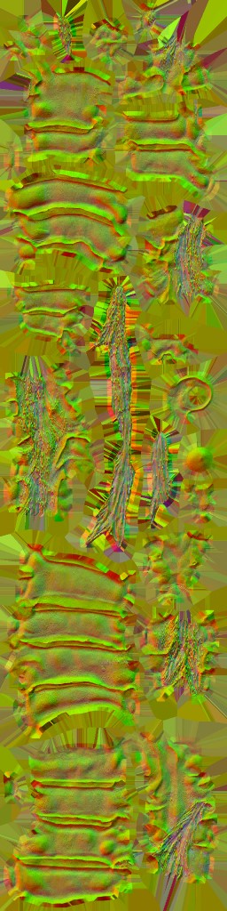WP_A_3009_n_l.jpg