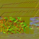 WP_A_7030_n_l.jpg
