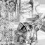 WP_A_7041_m_l.jpg