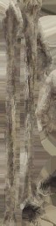 WP_A_7571_a_l.jpg