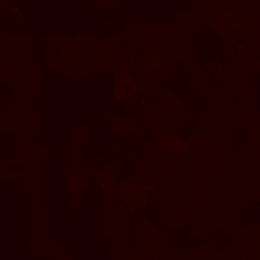 FC_M_0002_3m.png