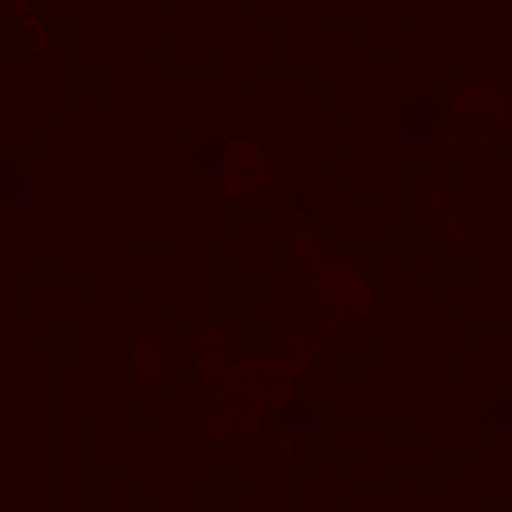FC_M_0100_3m.png