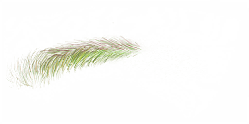 FG_A_2002_n.png