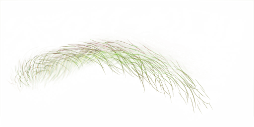FG_A_2004_n.png