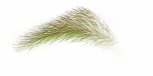FG_A_2006_n.png