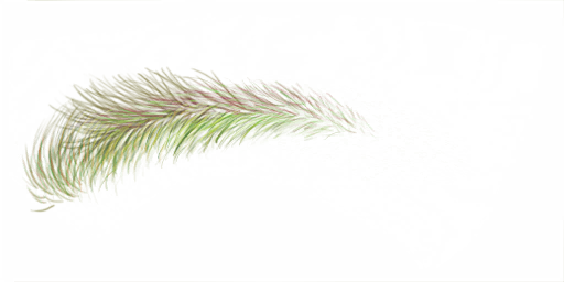 FG_A_2012_n.png