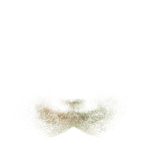FG_A_3007_n.png