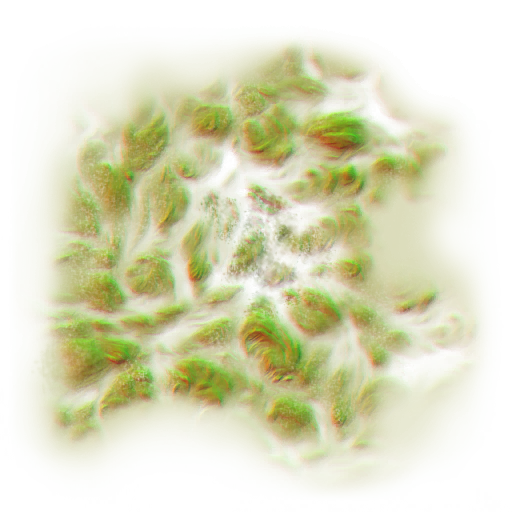 FG_A_6001_n.png