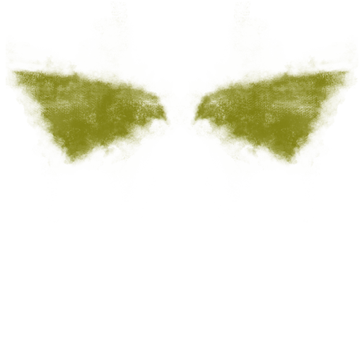 FG_A_6013_n.png