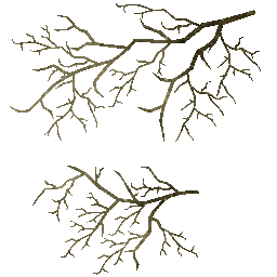 HD_M_1730_Tree_a.png