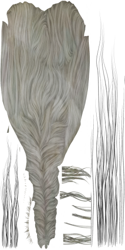 HD_M_2000_Hair_a.png