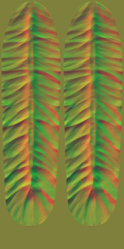 HD_M_2380_feather_n.png