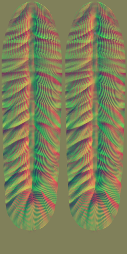 HD_M_2400_feather_n.png