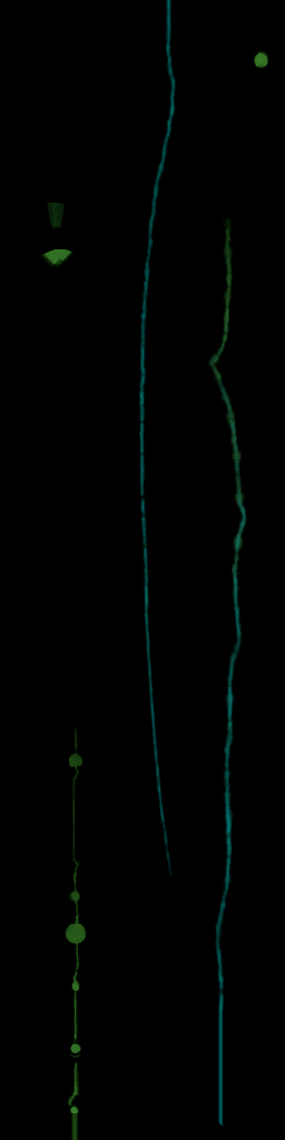 WP_A_0271_em.png