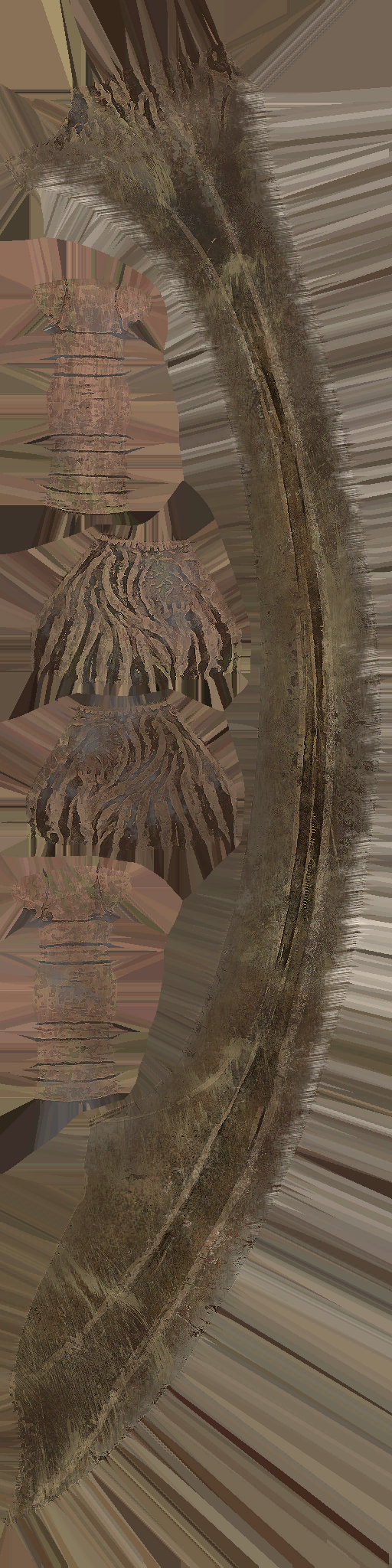 WP_A_0404_a.png