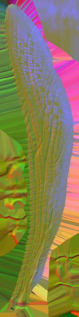 WP_A_0419_n.png