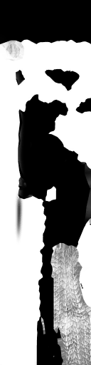 WP_A_0558_m.png