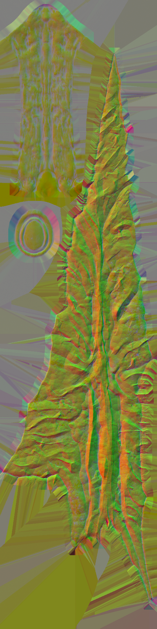 WP_A_0635_n.png