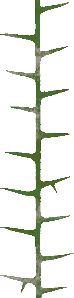 WP_A_0752_thorn_a.png