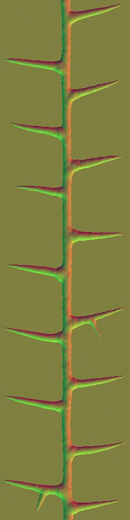 WP_A_0752_thorn_n.png