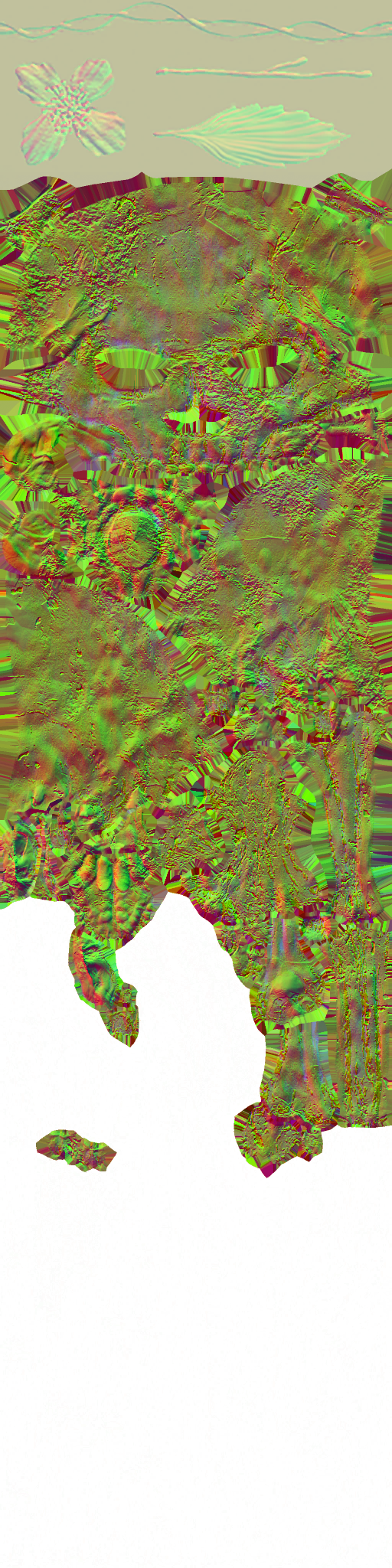 WP_A_0860_n.png