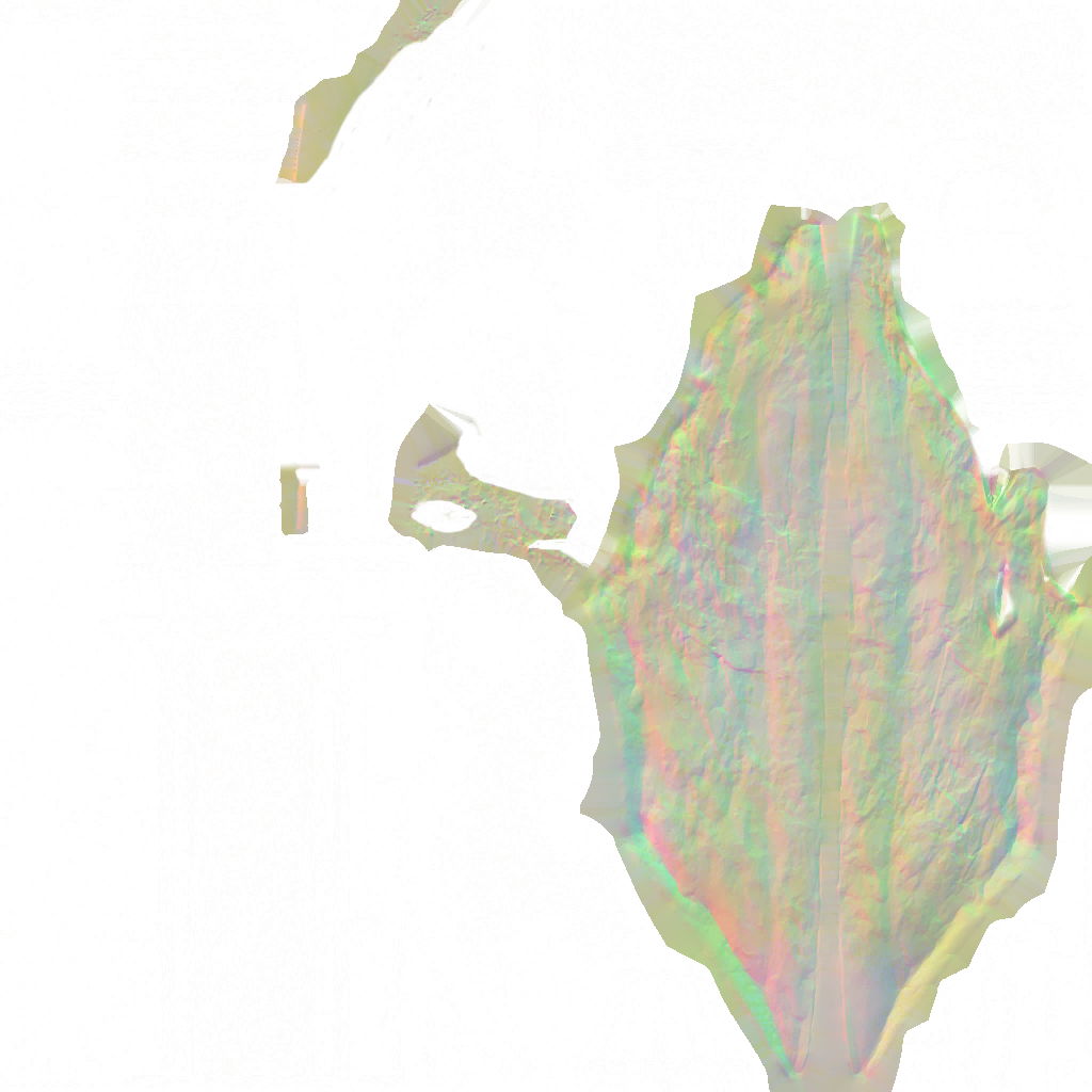 WP_A_1022_n.png