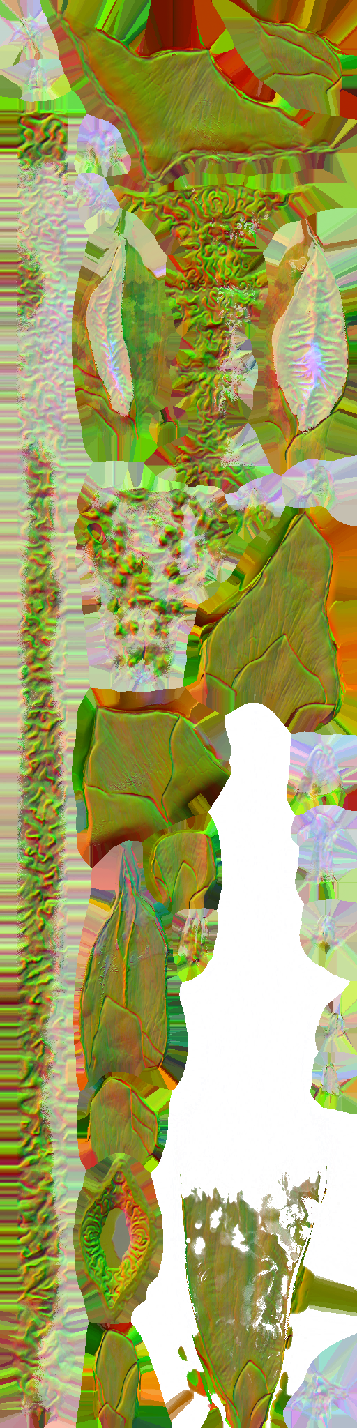 WP_A_1025_n.png