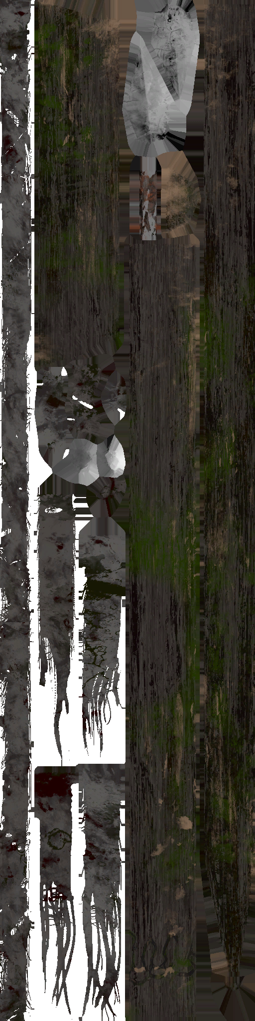 WP_A_1317_a.png