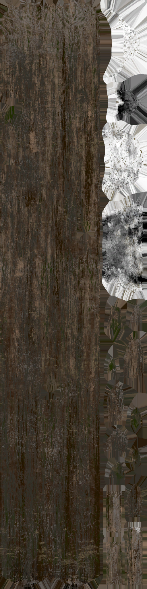 WP_A_1324_a.png