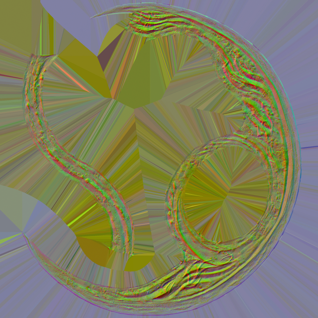 WP_A_1572_n.png