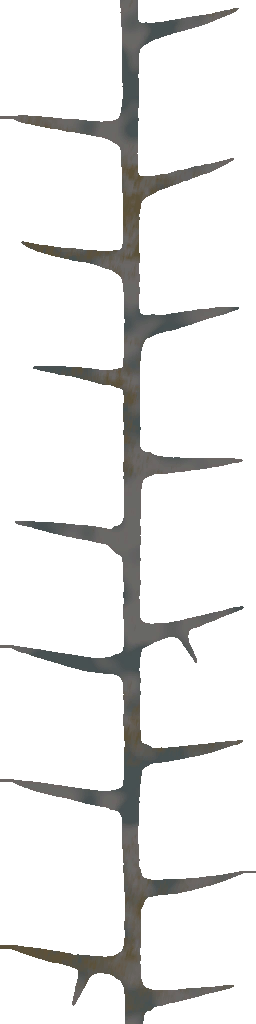 WP_A_2001_thorn_a.png