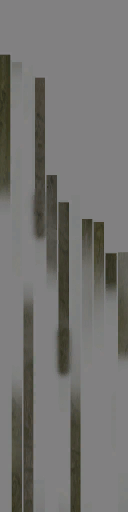 WP_A_2206_branch_Color_a.png