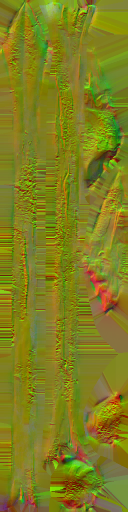 WP_A_7570_n.png
